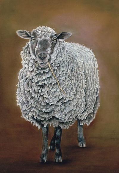 animal-mammal-sheep-handmade-jpg