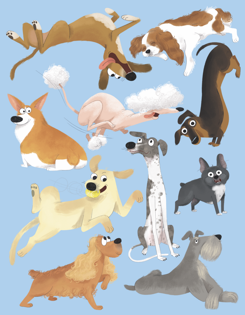 crazy funny dogs