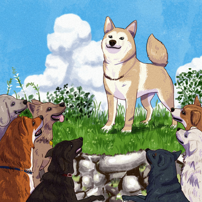 leader-dog-and-his-pack-jpg