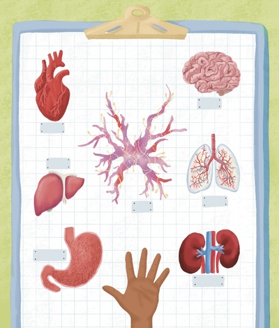 body-book-jpg