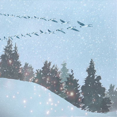 skyline-snowy-pines-with-geese-lr-jpg