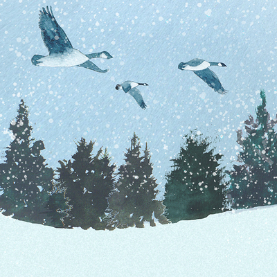 skyline-geese-in-flight-lr-jpg
