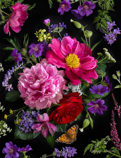 lmn105299-jpg