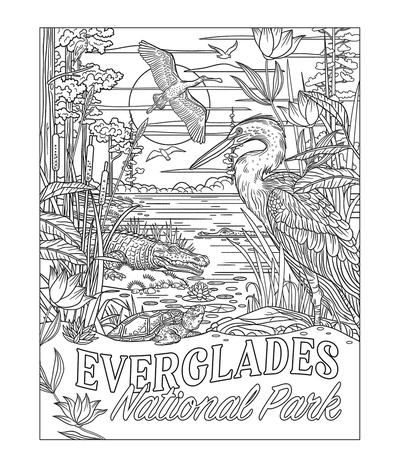 everglades-line-art-jpg