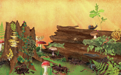 claire-mcelfatrick-old-tree-spread-sold-unpublished-jpg