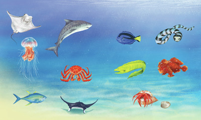 claire-mcelfatrick-dk-sharks-and-rays-jpg