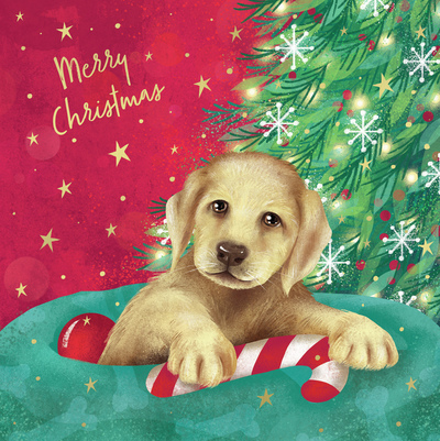 claire-mcelfatrick-festive-puppy-jpg