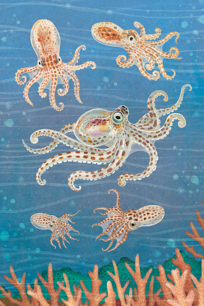 mimic-octopus-1