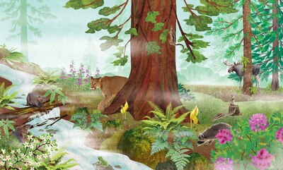 claire-mcelfatrick-dk-trees-4-jpg