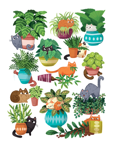cats-and-plants