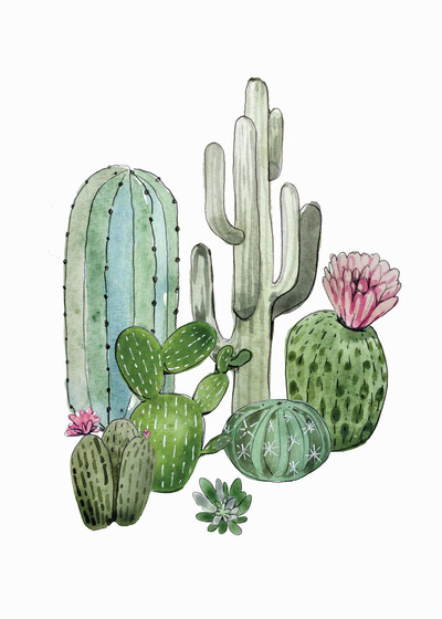fine-art-cactus-1-jpg