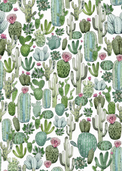 fine-art-cactus-2-jpg