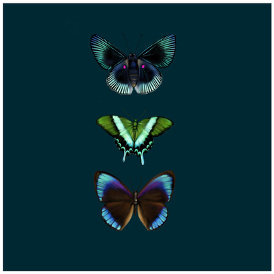 design-1a-jpg