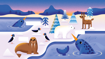 arctic-a-jpg
