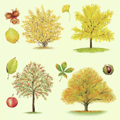 00889-dib-trees-autumn-jpg