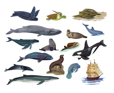 whales-jpg-5