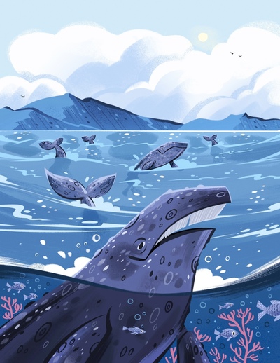 greywhale-cover-jpg