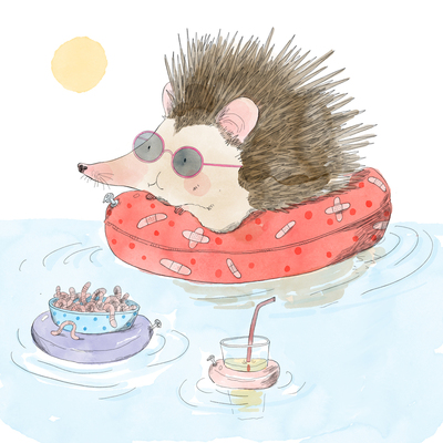 hedgehog-beach