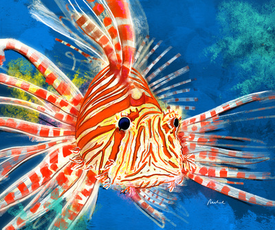 lion-fish