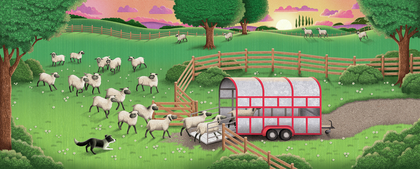 Ten Little Tractors Sheep herding