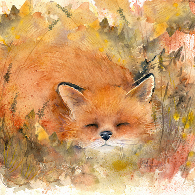 snoozy-fox-jpg