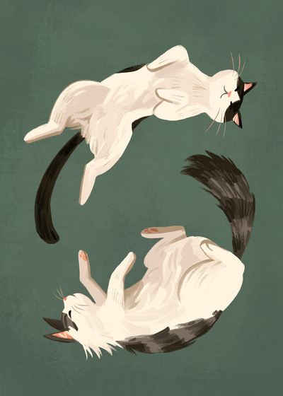 cats-jpg-26