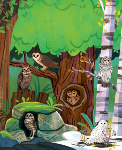owls-6