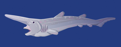 goblin-shark