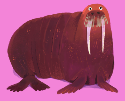 walrus-2
