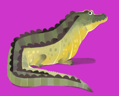 alligator-2
