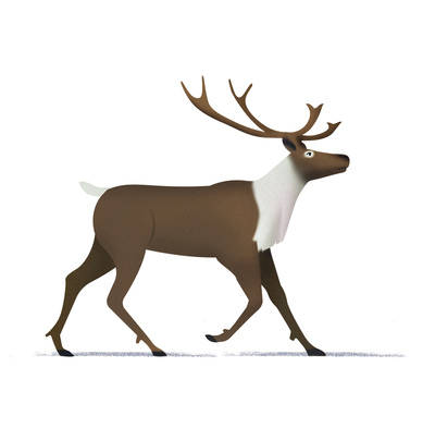 02-caribou-jpg