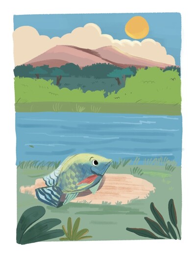 fish-in-sun