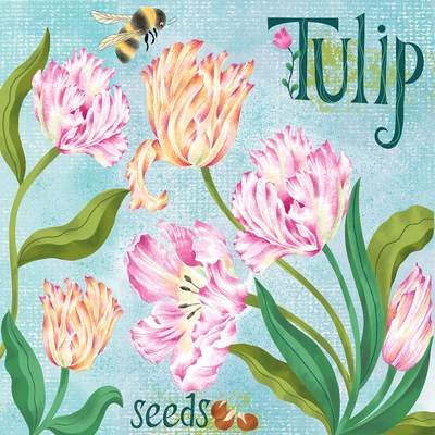 lisabraun-tulipseeds-jpg