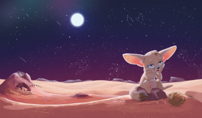 desert-fox-fennec-night-stars-family-png