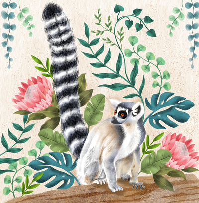 lisabraun-lemur-jpg