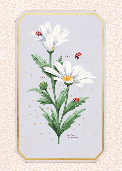 general-botanic-daisy-ladybugs-jpg