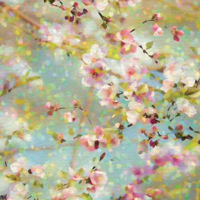 lsk-blossom-buds-collage-jpg