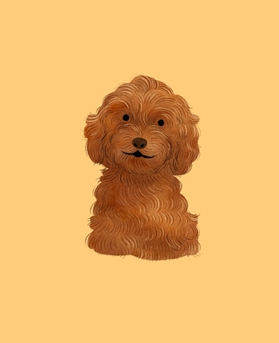 poodle-jpg-3