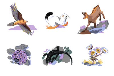 mountain-animals-jpg