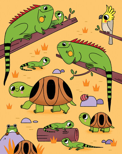iguanas-and-turtles