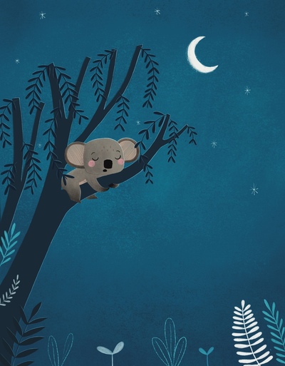 koala-comfort