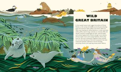 wild-great-britain-aliz-buzas-jpg