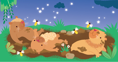capybara-adventure-nightjpg