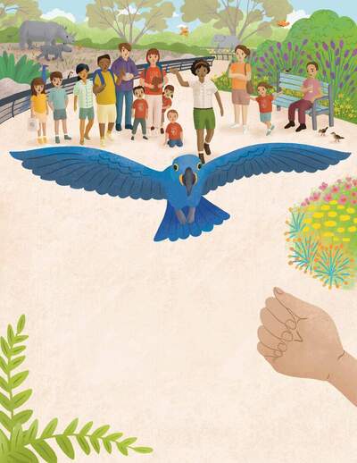 macaw-flying-to-keeper-zoo-book-jpg