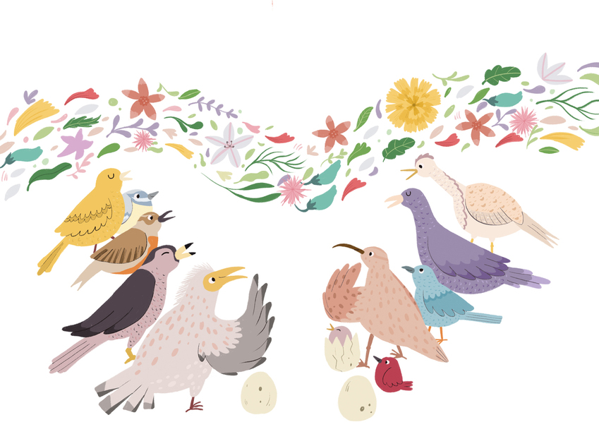 Birds.jpg