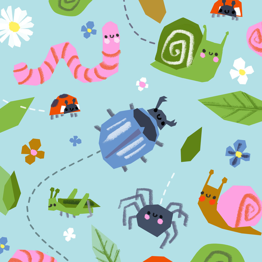 insects bugs creepy crawlies