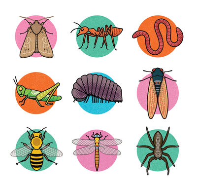 bugs-insects-jpg