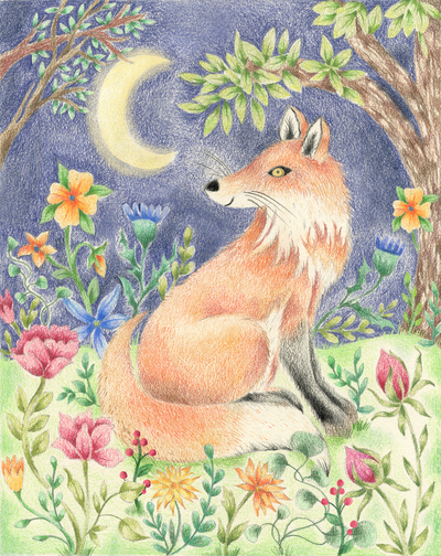 fox-lr-jpg