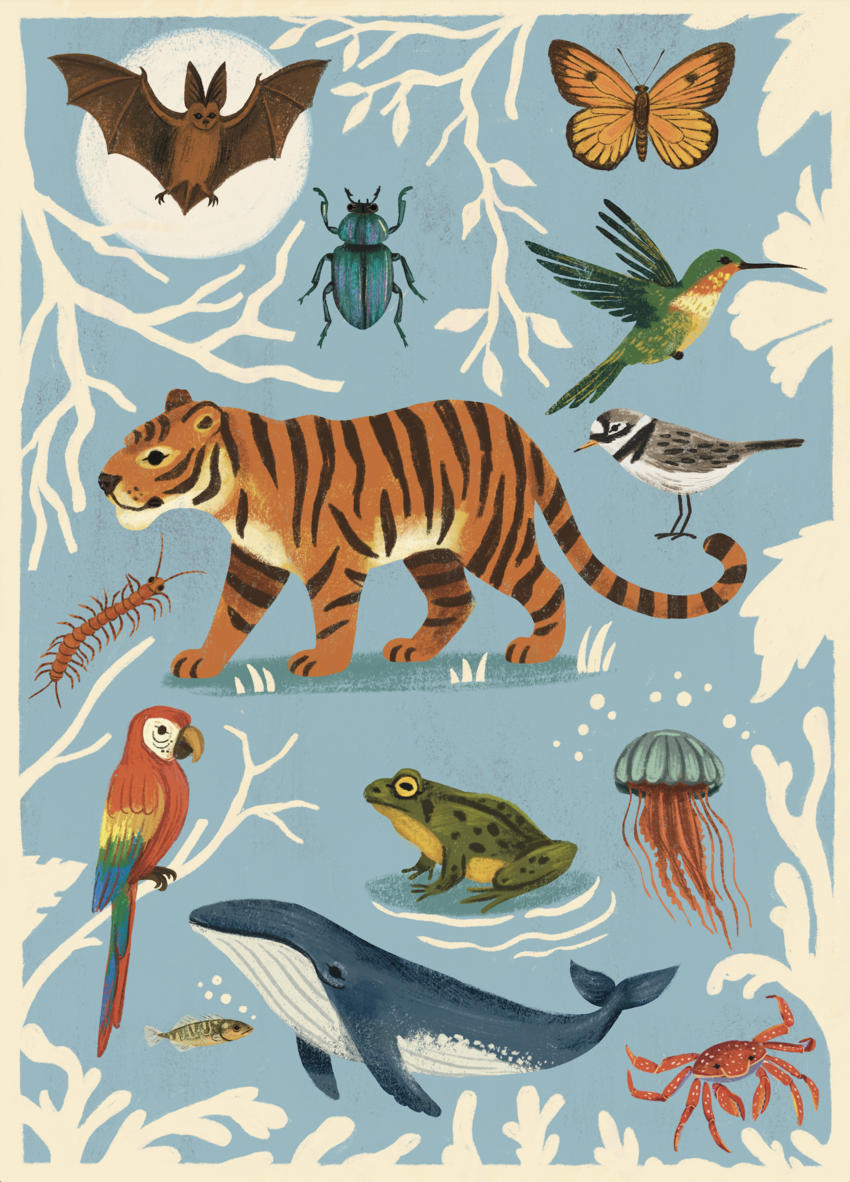 animals.png