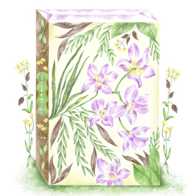orchid-tropical-jpeg